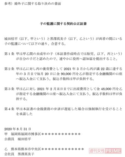 【参考】養育費、出産費用についての公正証書（氏名は仮名、住所はダミーです）