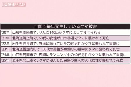 全国で毎年発生しているクマ被害