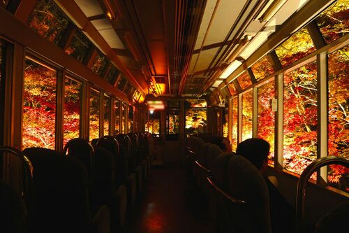 「叡山電車」夕暮れから21時ごろまで実施するライトアップは11/24まで
