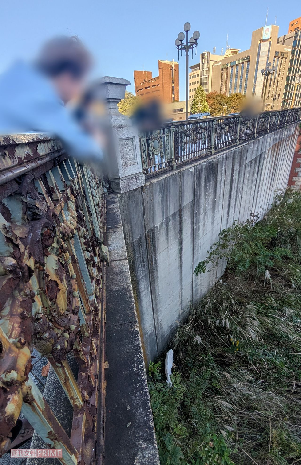 四ツ谷駅に放牧されたヤギ　撮影／編集部