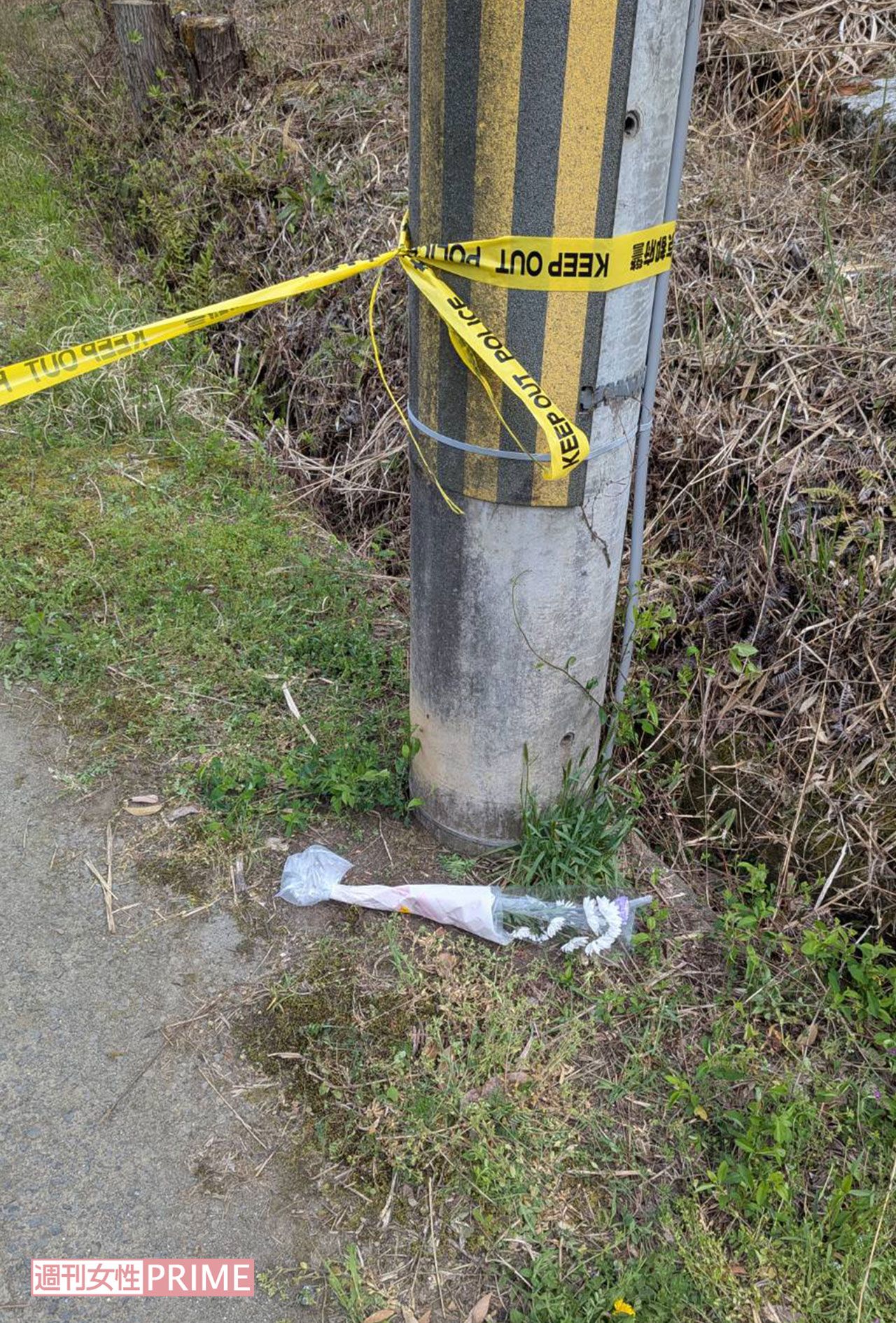 《京都小6男児行方不明事件》遺体現場へ続く道に置かれた献花。安達結希くんが可愛がっていたハチのご主人が手向けたという