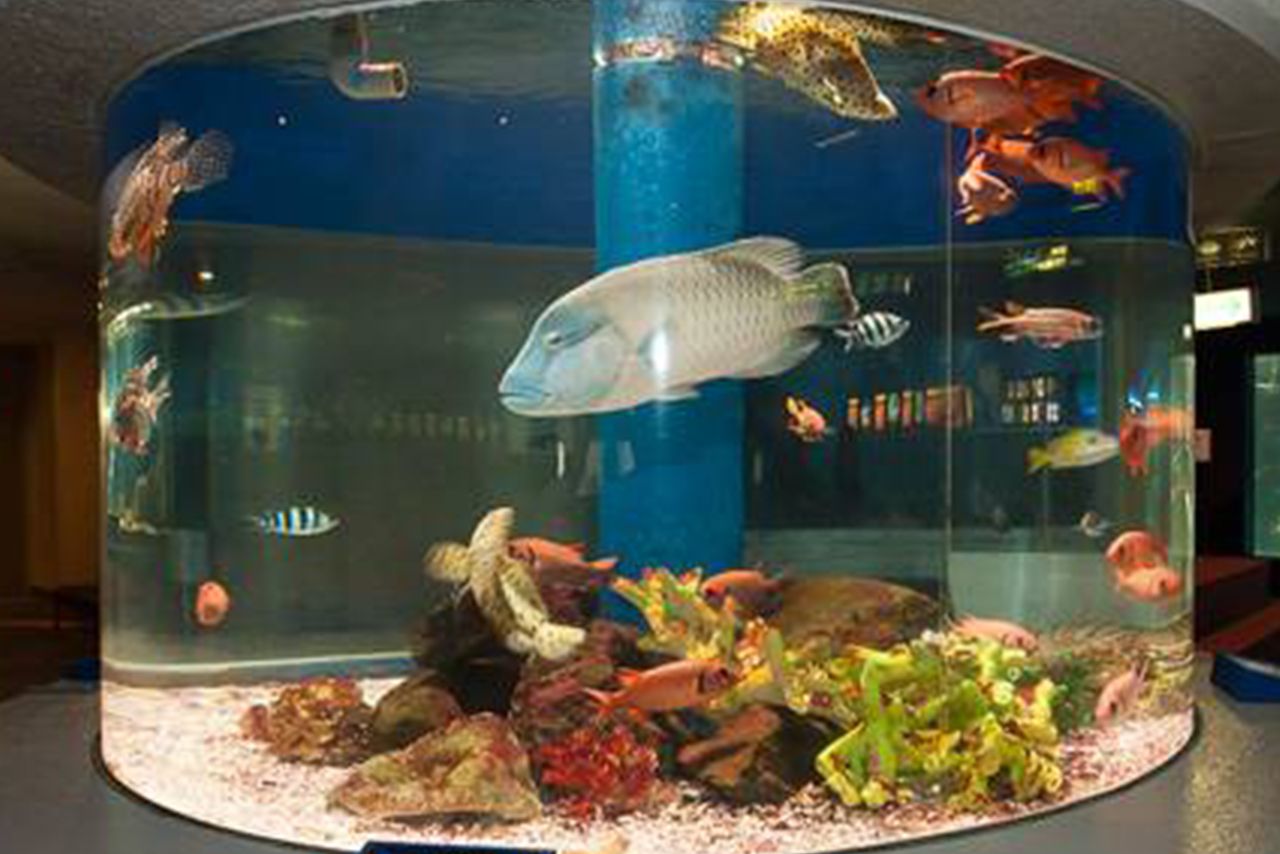 『のとじま臨海公園水族館（のとじま水族館）』公式HPより