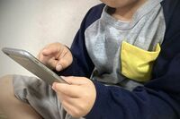 オンラインカジノの疑問点を専門家に聞いた「やったら犯罪？」「どうしてハマる？」「どこに相談を？」