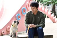 阿部寛の『まだ結婚できない男』に隠された、スタッフ渾身のバナナの存在