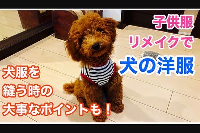 『ミシンばあば』洋裁歴60年の技と知識で犬の洋服も！（YouTubeより）