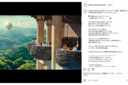 『ジャングリア沖縄』のイメージ画像（公式インスタグラムより）