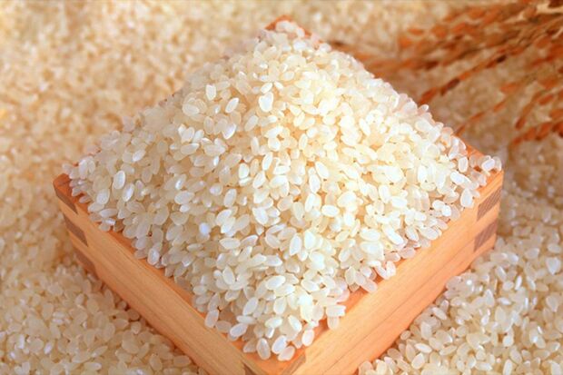 下田産こしひかり4kg（2kg×2）×3回/新潟県三条市●寄付額3万円