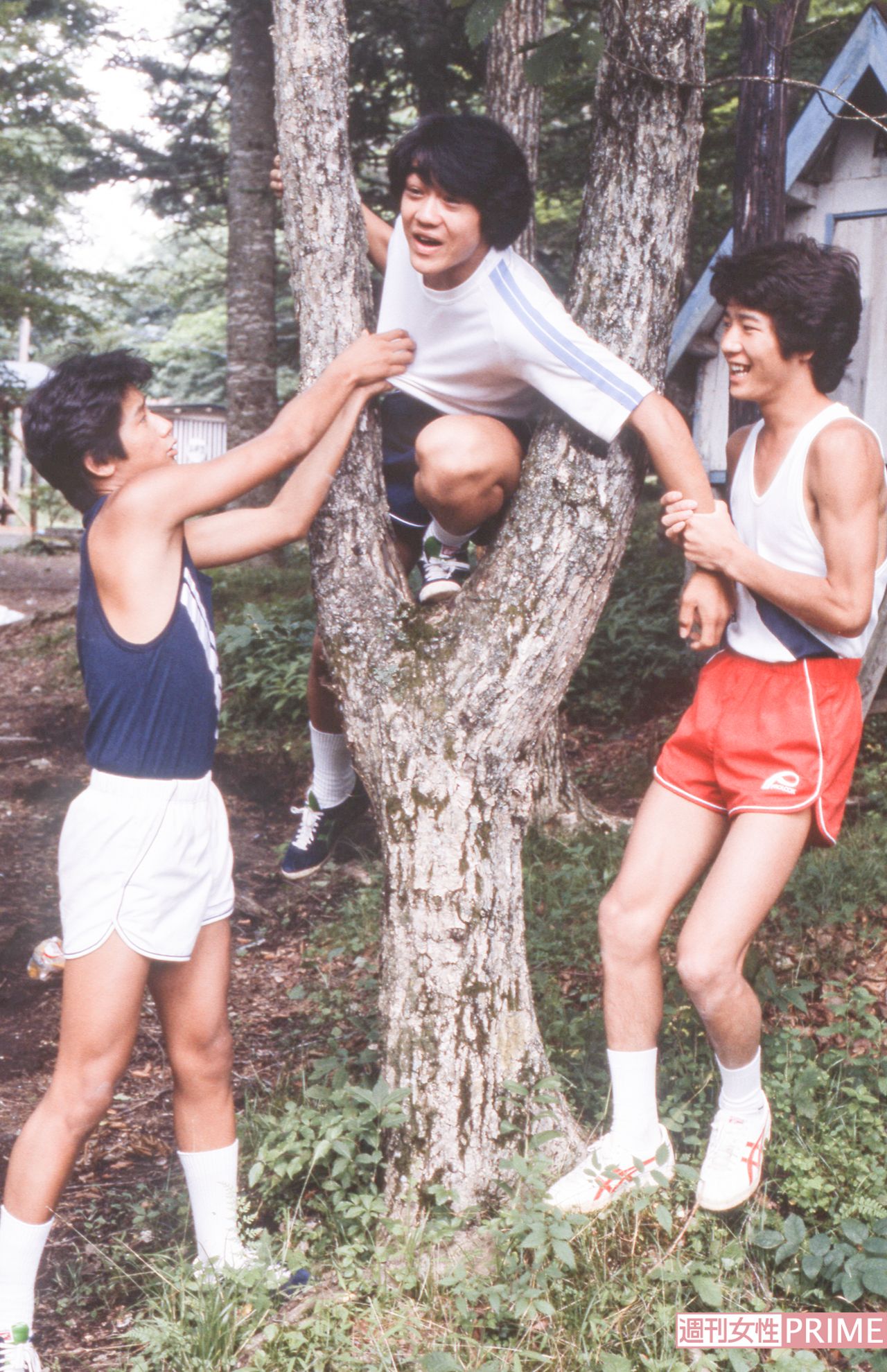 たのきんトリオ（近藤真彦、田原俊彦、野村義男）