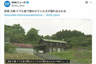 クマ被害の見出しの日本がおかしいNHKニュース