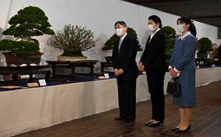 2024年の国風盆栽展のご様子