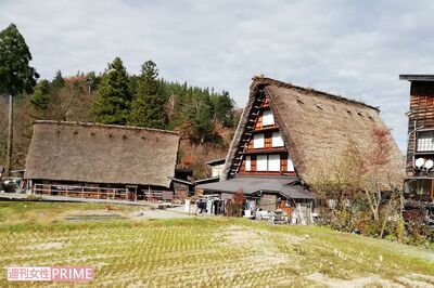 ディズニー「シュガー・ラッシュ」新アトラクション2027春開業、能登温泉旅館51台のパチスロ、インバウンド…