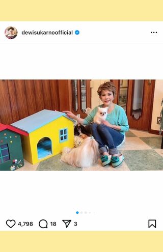 2024年８月愛犬と自宅で（公式インスタグラムより）