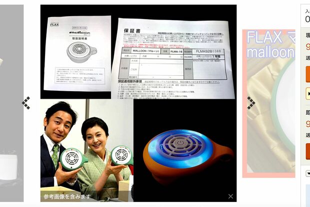 藤原紀香・片岡愛之助の結婚式で配られた引き出物（オークションサイトより）