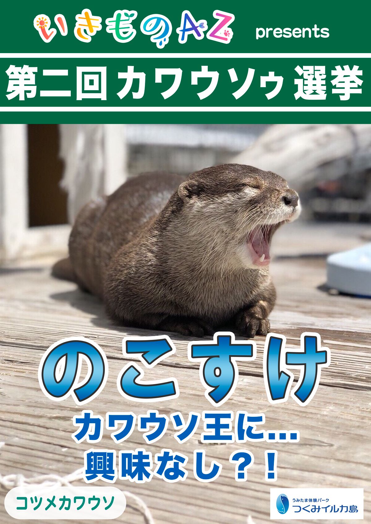 のこすけ