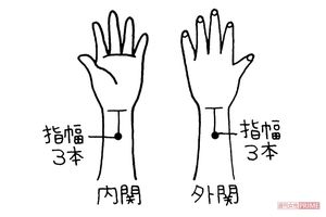 内関（ないかん）手のひら側で、手首の線の中央から指幅3本分ひじ側に上がったところ。イラスト／水口アツコ。