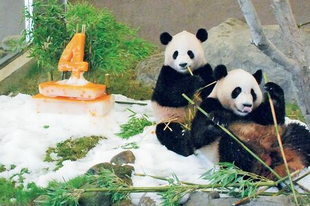 海浜♂（右）＆陽浜♀　写真／産経新聞社