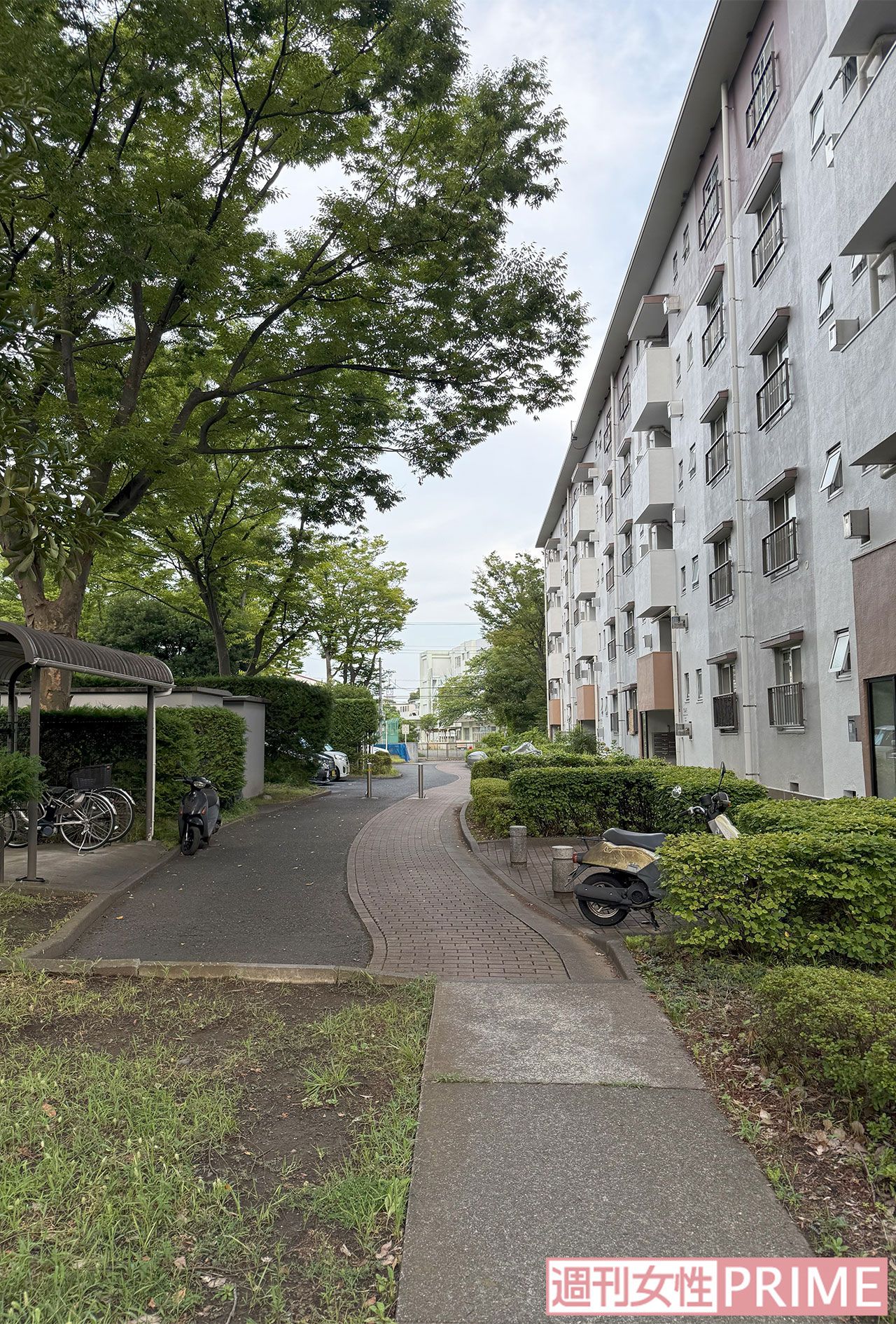 《神奈川・茅ケ崎》小椋亮容疑者の自宅付近の路上では若い男性らがよくたむろしていたという