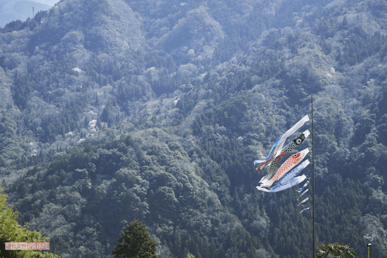 自然に囲まれた徳島県の山奥の集落での生活は不便に見えるが、それすらも楽しむように廣川家は今日を生きていく※撮影／いとうしゅんすけ