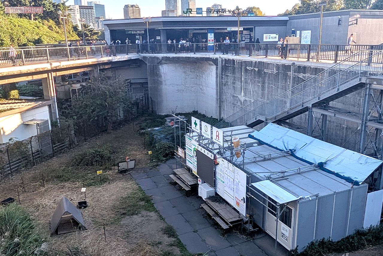 ヤギが放牧されているJR四ツ谷駅の目の前の広場　撮影／編集部