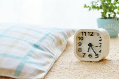 ※写真はイメージです