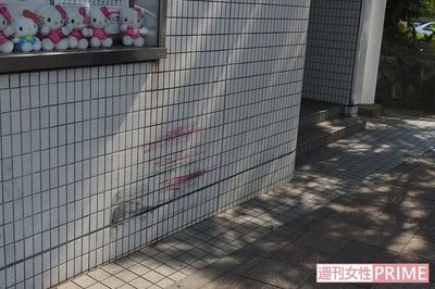 90歳の暴走老女が起こした死亡事故、釈放後の様子を息子が語る