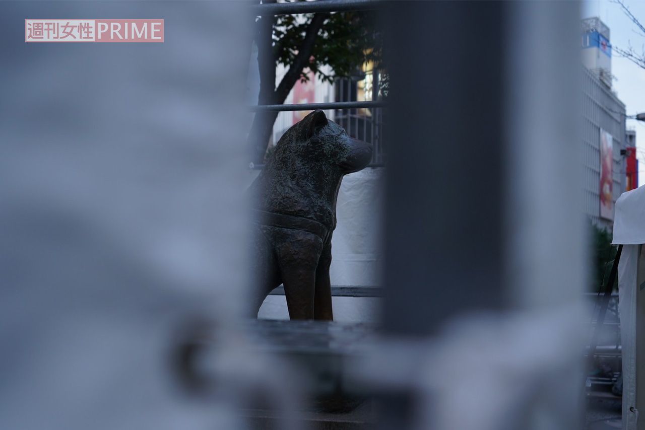 2024年10月31日のハロウィン、シートで覆われた渋谷のシンボル・ハチ公像