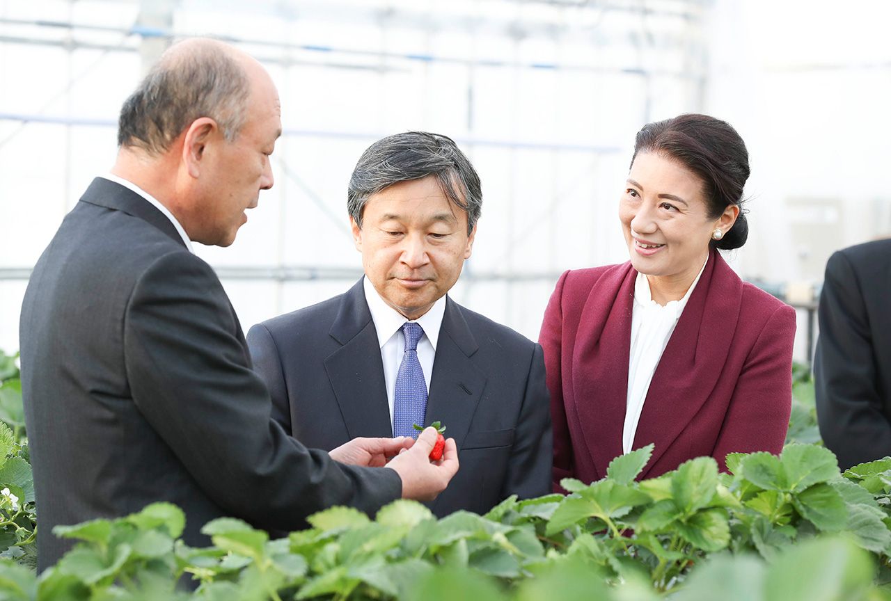 約2時間滞在された香川県の農業試験場ではイチゴをお土産に（11月19日）