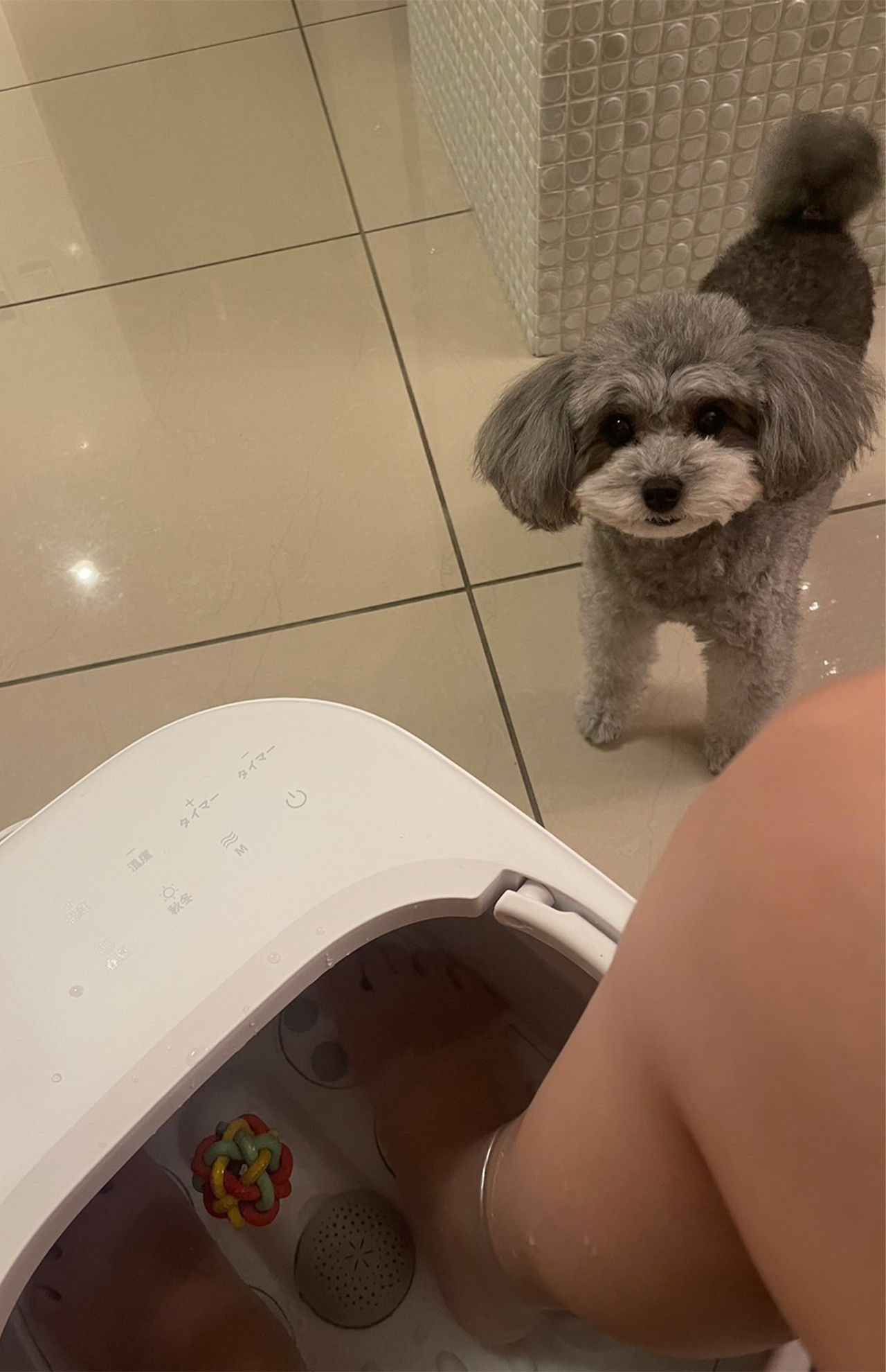 お風呂につかりたくないダルい日は足湯で全身を温めて一日の疲れをとります