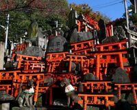 千本鳥居で有名な伏見稲荷大社、山奥まで鳥居が並んでいた