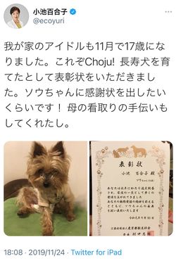 2019年、ソウちゃんが17歳になったときの投稿（小池都知事のツイッターより）