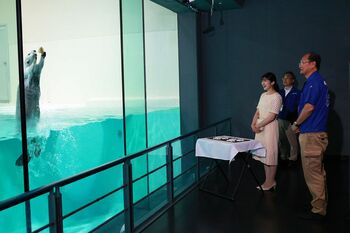 8月1日、鳥羽水族館を訪問された愛子さま。ラッコのメイが“イカミミジャンプ”を成功した瞬間