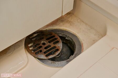 排水口周りに発生したイヤ～なカビ　撮影／山田智絵