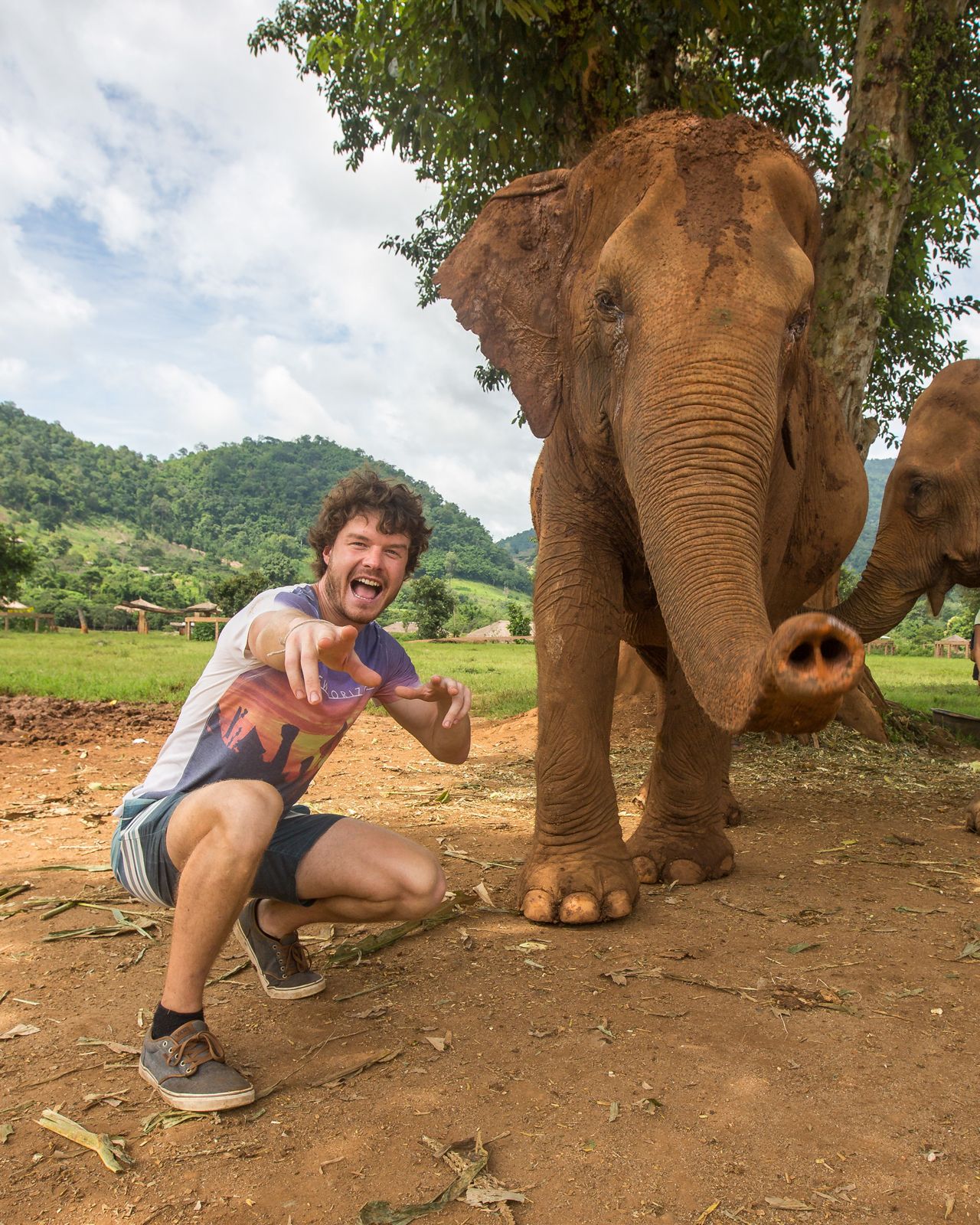 象もカメラ目線！　そのテクニックに脱帽♪　撮影／アラン・ディクソン