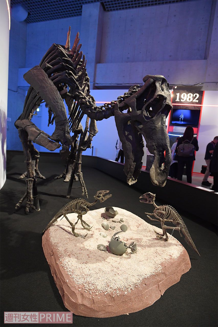 「よい母親トカゲ」が学名由来のマイアサウラ。恐竜が子育てをする可能性を初めて示した