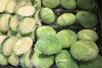 キャベツの価格高騰が止まらない…平年並みに戻るのは「もう無理」専門家が明かすメーカーの悲鳴と内情