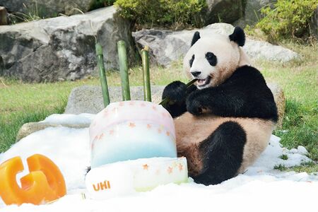 優浜♀　写真／共同通信社