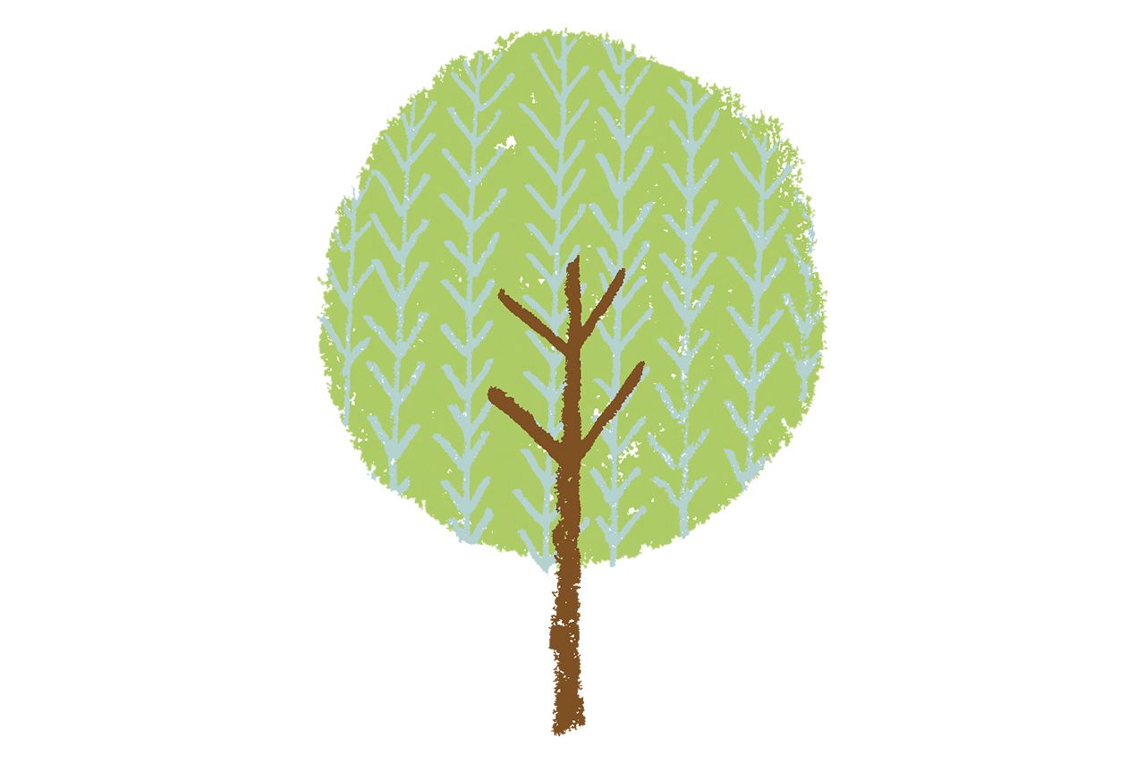 ※写真はイメージです