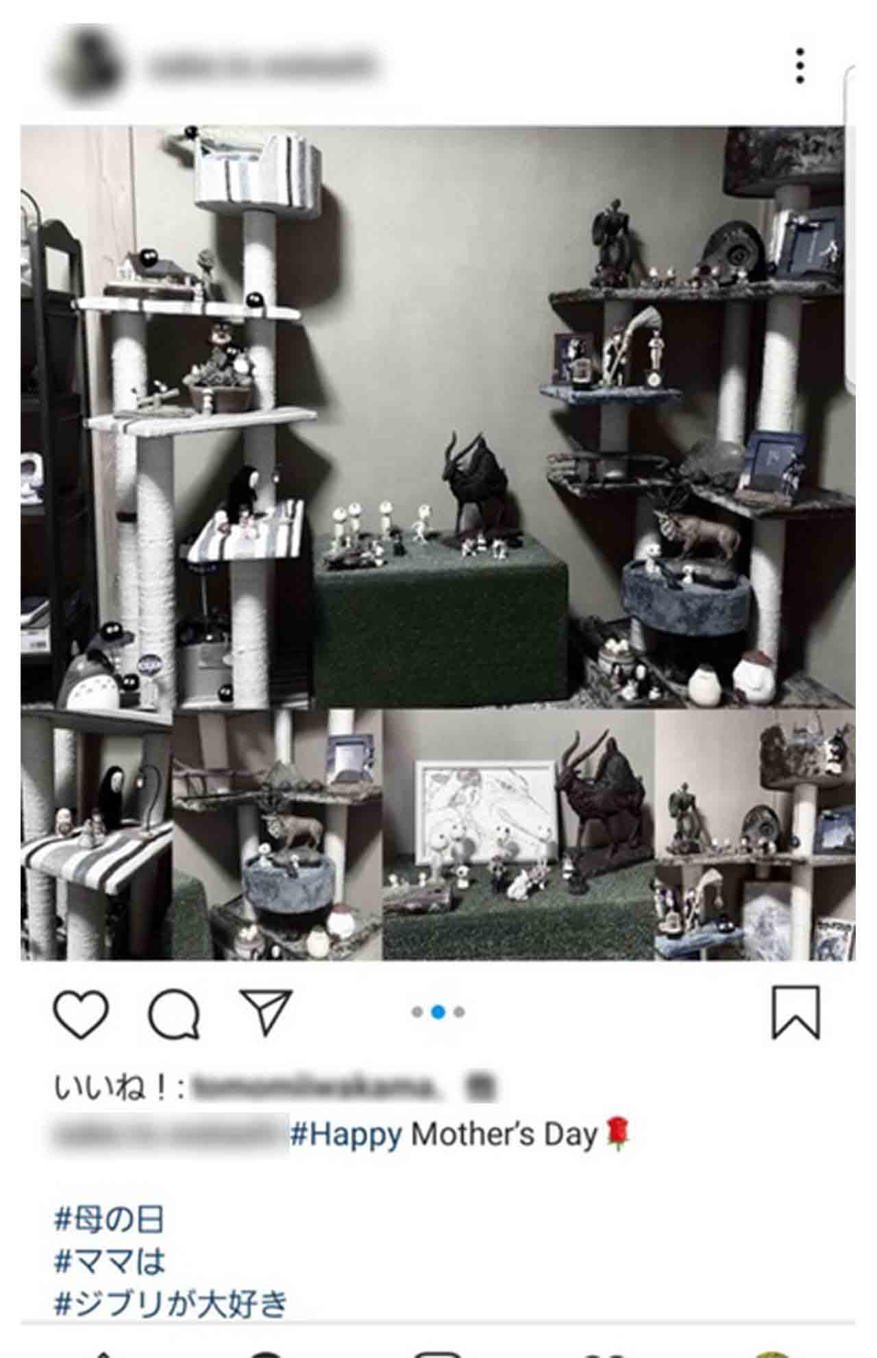 母の日には母への感謝を綴っていた（芦名星さんのものと思われるインスタグラム）