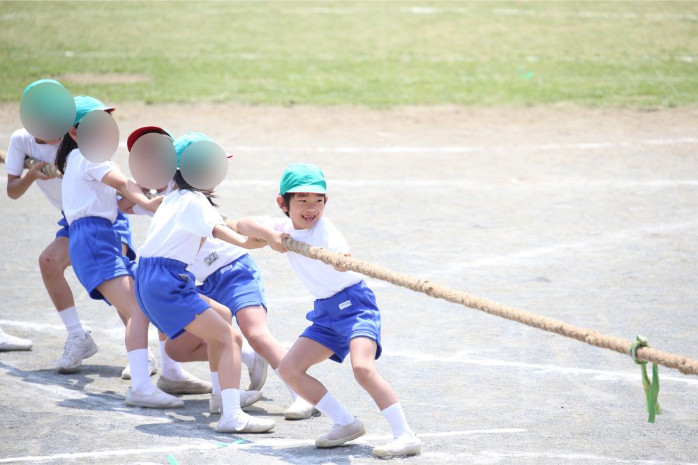 お茶の水女子大学附属小学校2年生の運動会で綱引きに参加