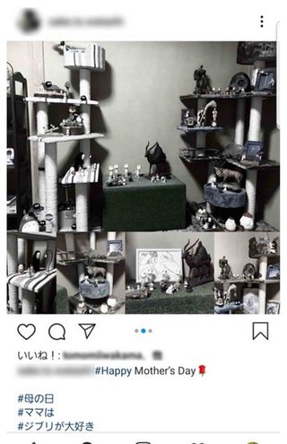母の日には母への感謝を綴っていた（芦名星さんのものと思われるインスタグラム）