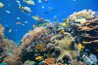 【心理診断】まるで別人？あなたの「確変」の可能性は？