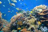 【心理診断】まるで別人？あなたの「確変」の可能性は？