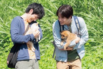 『犬部！』7/22（木・祝）全国ロードショー(C)2021『犬部!』製作委員会