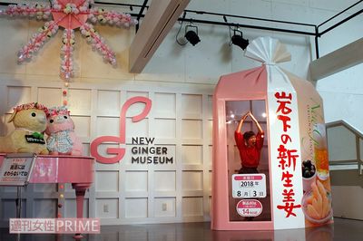 カオスすぎてSNS映え！ 『岩下の新生姜ミュージアム』に行くべき理由