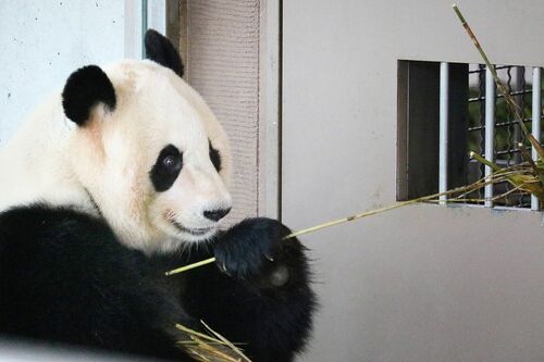 Q.おいしいお顔だ～れだ　A　（撮影／二木繁美）