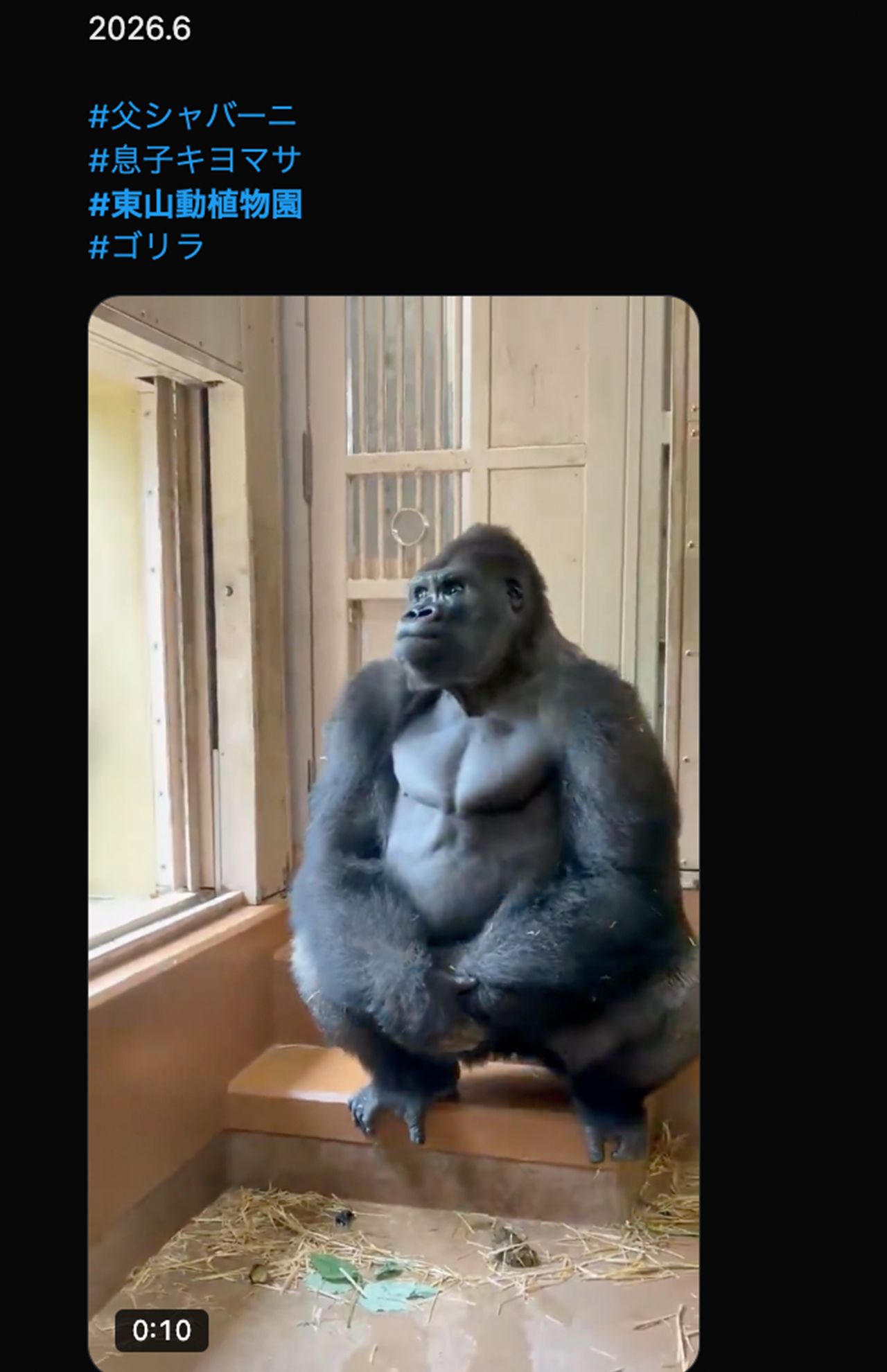 父・シャバー二の登場で緊張するキヨマサ（Xより）