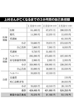 ※医療保険の自己負担は後期高齢者医療限度額適用・標準負担額減額認定証保持の場合、1か月に在宅8000円が限度（金額は当時のもの）。出典『なんとめでたいご臨終』小笠原文雄著・小学館より