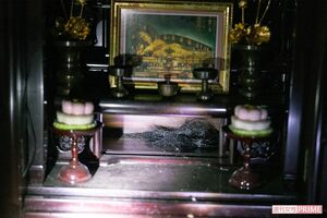 仏壇の中にはなぜか大量の髪の毛があった。室内のいたるところに髪の毛が落ちていた