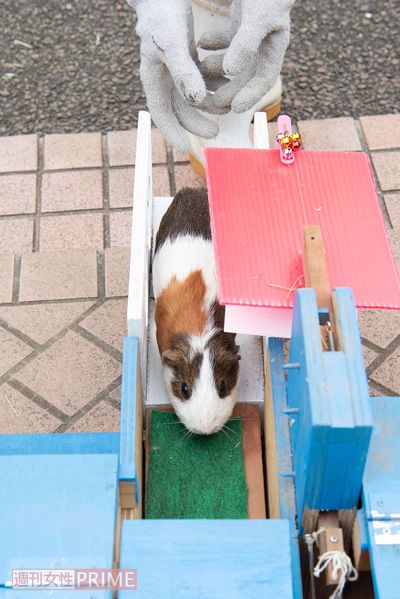 （5）ずんずん進んでいく！