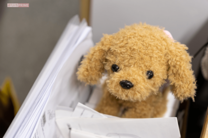 「常連出演者」である犬のぬいぐるみ